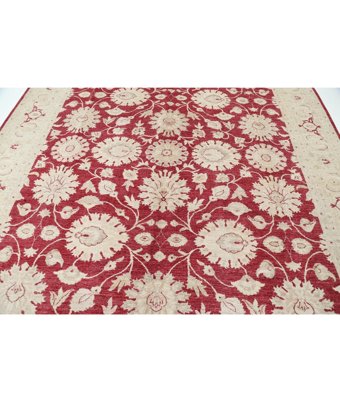 Hand Knotted Ziegler Wool Rug 9' 0" X 11' 11" 9' 0" X 11' 11" (274 X 363) / Ivory / Red